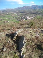 Gaztenbakarre 2  trikuharria