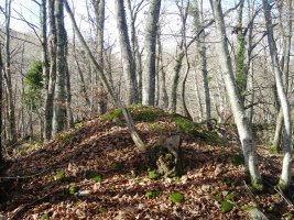 Arotzeneko Borda tumulua