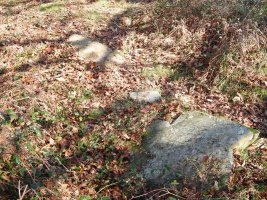 Batzarleku  trikuharria