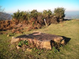 Lapitzeta I  trikuharria