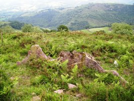 Urriki 1 ekialde trikuharria