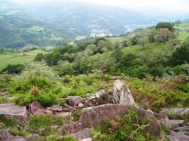 Urriki  2  mendebalde trikuharria