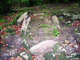 Errandonea  1 ipar trikuharria