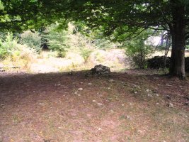 Portillo de las Majadas de Eulate trikuharria