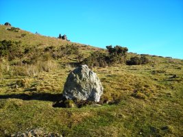 Zimiztako Lepoa harrespila