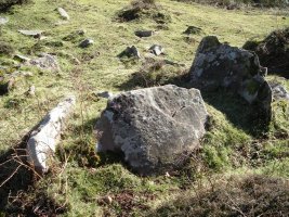 Gorostiko Lepoa trikuharria