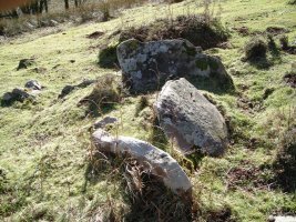 Gorostiko Lepoa trikuharria