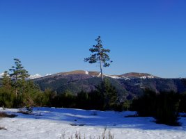Txorrotxarria eta Pulpitera mendebaldetik