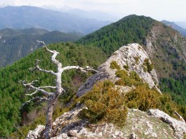 Dozolako gandorra ekialderantz