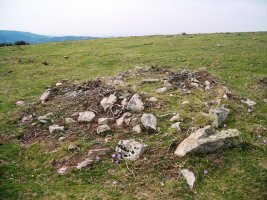 Lerdengibel eremu tumularra