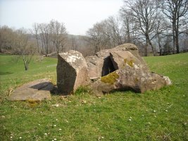 Erramonenea trikuharria