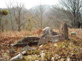 Tonbako Erreka trikuharria