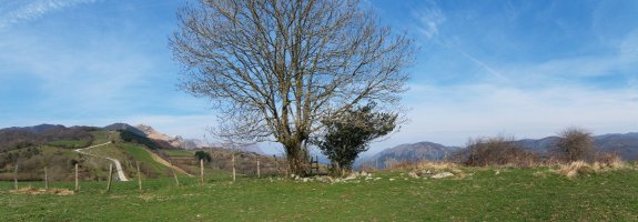 Inguru honetan behar zuen