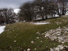 Larginburuko etxola hondoa