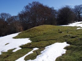 Larginburuko etxola hondoa