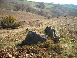 Legate  4  trikuharria