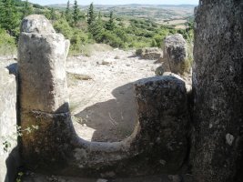  Farangortea trikuharria