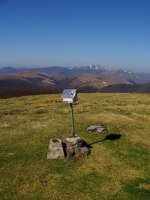 Girizuko txartelontzia