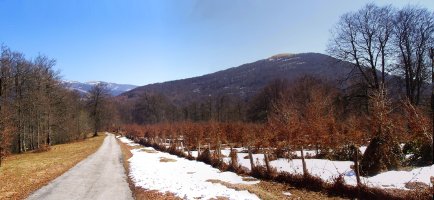 Girizu Linduseko bidetik