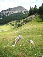 Fuente de los Clerigos 1  trikuharria