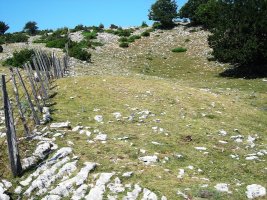 Los Rasos etxola hondoa