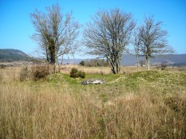 Gurpide ipar trikuharria