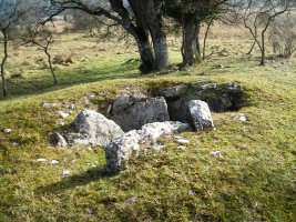 San Sebastian ipar trikuharria