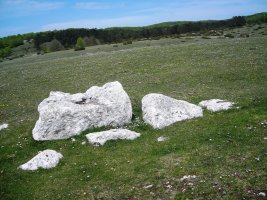 Otsaportillo  2 hego  zutarria