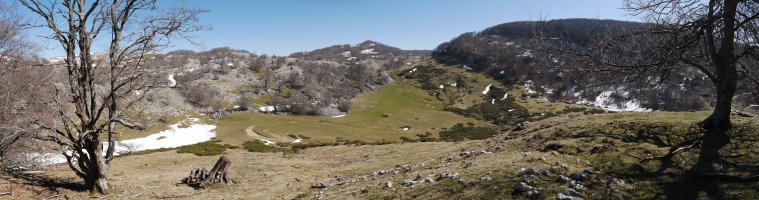 Pagomari aldetik ikusita