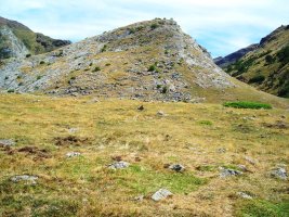 Base Mallo Blanco harrespilak