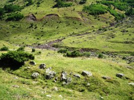 Barranco Mallo Blanco  harrespila