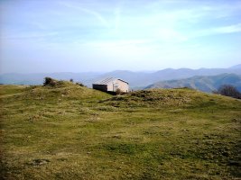 Orizun ipar etxola hondoak