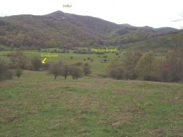 Otsolako larreak Beigañeko hegietatik