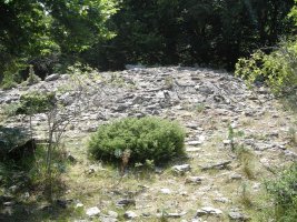 Trekua Arteta trikuharria