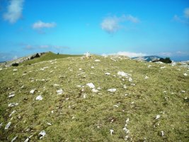 Sarasa Gañe trikuharria