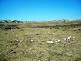 Balsa Fría harrespila