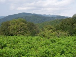 Ikuspegi mugatua gailurretik