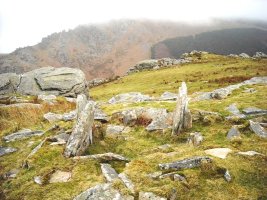 Altsaan I trikuharria