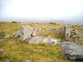 Altsaan I trikuharria