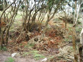 Gaztiñabakar I trikuharria