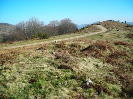 Irazako Lepoa tumulua