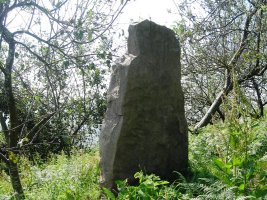 Txoritokieta zutarria