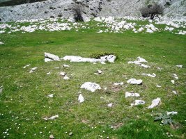 Uelogoena II  trikuharria