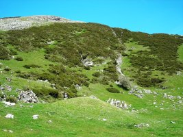 Urrusti (Pontoa) I etxola hondoa