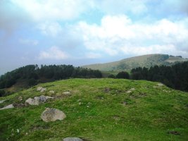 Kauso II  harrespila