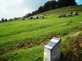 Oianleku  ipar  harrespila