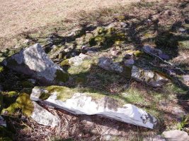 Sugesti 2 trikuharria