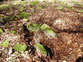 Bixurdiñeta 1  trikuharria