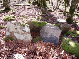 Bixurdiñeta 2  trikuharria