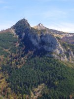 Larratza eta Ardibidepikua